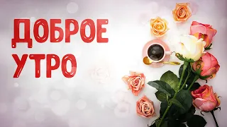 С ДОБРЫМ ЗИМНИМ УТРОМ и хорошим днем! ДОБРОЕ УТРЕЧКО ХОРОШЕГО ДНЯ! Доброе утро!