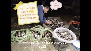 Осенняя рыбалка на р. Бирюса 2022! Отличный клев и просто хороший отдых.