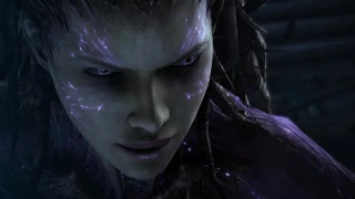 StarCraft II: Heart of the Swarm (Другой взгляд)