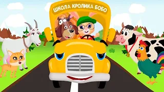 🌈 Школа кролика Бобо – Автобус Бип-Бип 🚌 – Развивающие песенки для детей