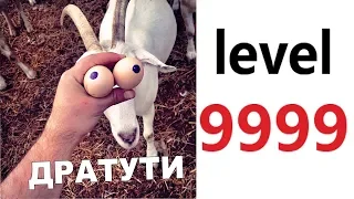 Лютые приколы. ДРАТУТИ LEVEL 9999! РЖАКА ДО СЛЁЗ! СМЕШНЫЕ ЖИВОТНЫЕ – Domi Show