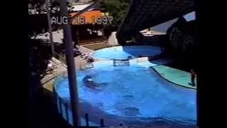Niagra Falls Aquarium & Marine Land Killer Whales 1997