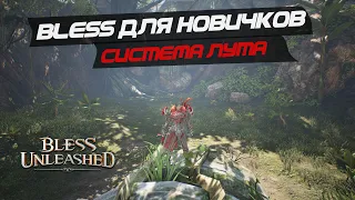 BLESS UNLEASHED ДЛЯ НОВИЧКОВ -  Система лута