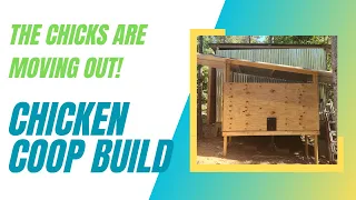 Building Our Chicken Coop and Moving Our Chicks Into the Coop