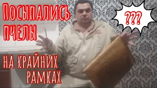 Почему на крайних рамках посыпались пчелы???