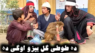 Da Tuti Gull Bezo Awge Da || Pashto New Funny Video 2023 by Tuti Gul Vines