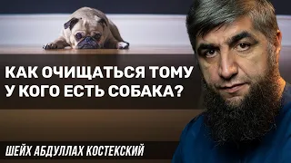 Как очищается владелец собаки?