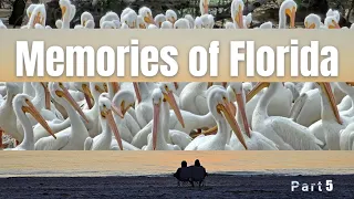 USA - Memories of Florida, Part 5: Chokoloskee Island - The Ten Thousand Islands (4K)