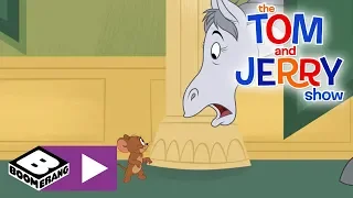 The Tom and Jerry Show  | Tom Hunts Down A Horse | Boomerang UK 🇬🇧