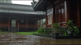 12 Hours Rain Sounds for Sleeping I Fall Asleep Fast with Heavy Rain I Relaxation, Meditation