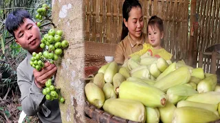 Hung goes to the forest to pick fruits and mushrooms - Huong harvests baby corn to sell.