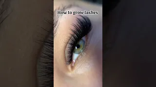 Eye Lashes Growth Serum 🤩🤩 #shorts #eyelashes