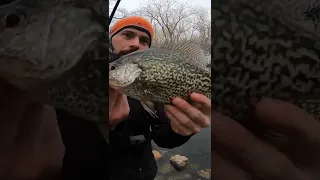 Nothing crappy about it | Bobby Garland #crappie #fishing #winter #outdoors #chicago #riverfishing