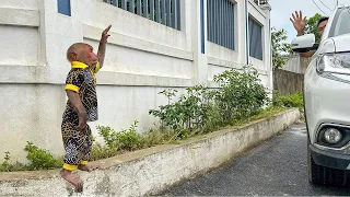 Bibi obediently waited for Dad to buy ornamental plants for home