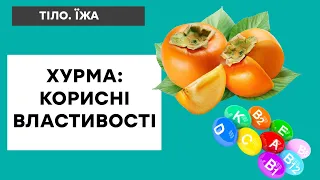 ХУРМА: нові сорти та корисні властивості