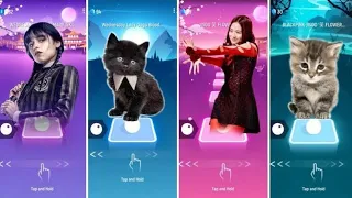 CUTE CATS  WEDNESDAY LADY GAGA BLOODY MARY vs BLACKPINK LISA MONEY vs JISOO FLOWER vs KILL THIS LOVE