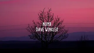 Dave Winkler - Numb (Lyrics)