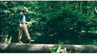 H&M Life: Conscious Films – Sustainable Wood Mill, NY Heartwoods