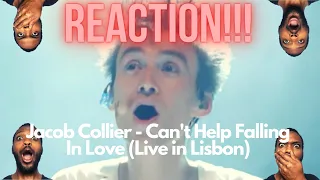 MANLEY'S REACTION | Jacob Collier - Can't Help Falling In Love (Live in Lisbon)