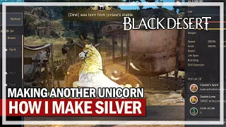 HOW I MAKE SILVER & 2nd Tier 9 Unicorn | Black Desert