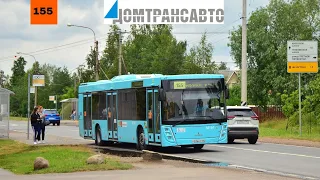 15.10.23 Автобусный маршрут 155 борт. 38164 в Санкт-Петербурге.