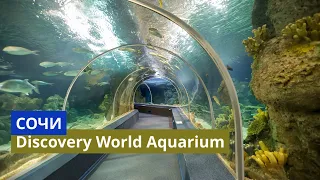 Сочи. Самый большой океанариум в России - Sochi Discovery World Aquarium