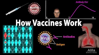 How Vaccines Work, Herd Immunity, Types of Vaccines, Animation