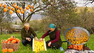 Harvesting Red Persimmons and Keeping Them for Winter in Azerbaijan
