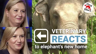 Vet reacts to Kaavan's release