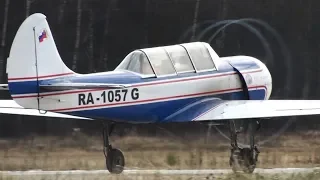 Самолеты Як-52 / Аэродром Большое Грызлово (Пущино)