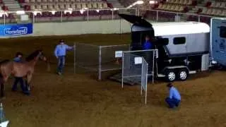 Monty Roberts - 'Rambo' - Float Training - Horseworld, Sydney