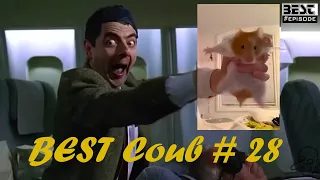 BEST Coub # 20 | BEST Cube | Funny Videos | Приколы