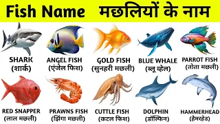 20 Fish Name in Hindi and English | 20 मछलियों के नाम | Fish Name With Spelling | Wonder Kids Gyan