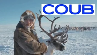 Best COUBs 34  Подборка кубиков COUB 34