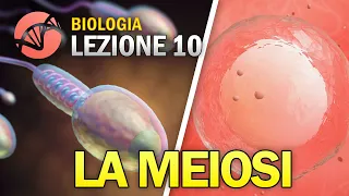 BIOLOGIA - Lezione 10 - La Meiosi