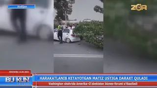 Harakatlanib ketayotgan Matiz ustiga daraxt quladi