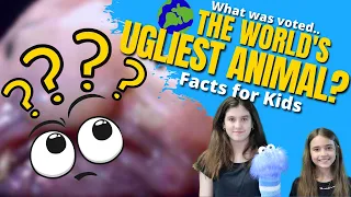 What is a BLOBFISH? - The Ugliest Animal in the World | Facts for Kids