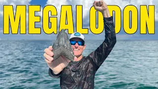Massive FOSSIL SHARK TOOTH Found Scuba Diving in Florida