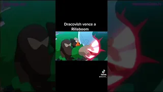 Dracovish vence a Rillaboom en Pokemon journeys cap 131