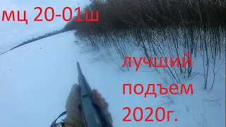 охота на зайца 2020.скрадвание лисы.лучший подъем зайца 2020 года.