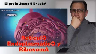 El profe JosepH enseña RetículO EndoplamsaticO RibosomA