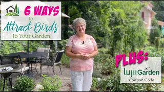 6 Ways To Attract Birds To Your Garden - PLUS: LUJII Coupon Code - 🪺🐦🪺