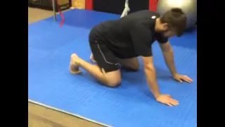 Quadruped Rock Back w/ Lateral Distraction