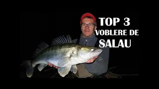 Top 3 voblere Rapala de salau