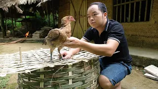 I successfully trap the hen, taming wild chickens. Primitive Skills (ep183)