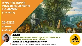 Яна Шурупова: "Эволюционное древо: как его строили и как его выращивают сейчас?"