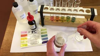 How pH effects enzyme activity