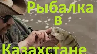 Диалоги о рыбалке - 160- Рыбалка в Казахстане, Черный Иртыш.
