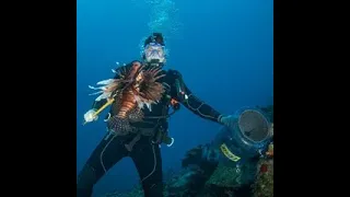 We Speared Over 300 Lionfish in One Day!!