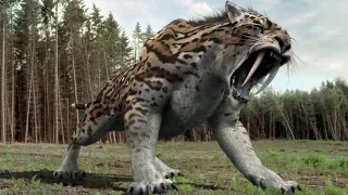 Top 10 Most Amazing Extinct Animals